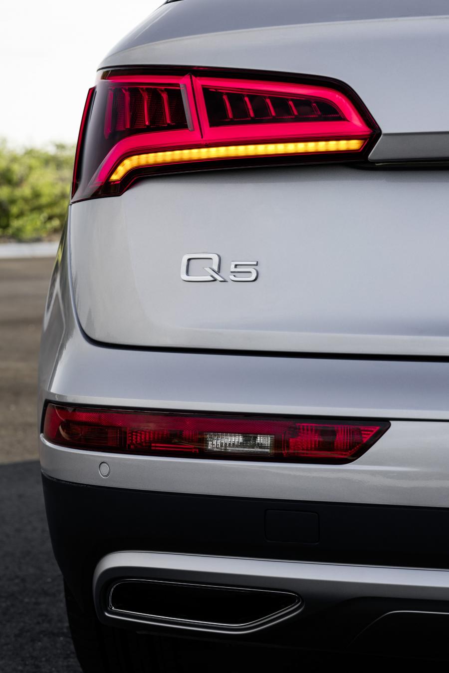 Детали экстерьера Audi Q5 TDI Quattro 2016 года  (WW) (фото 64 из 90)